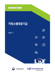 2024년도 재정사업 심층평가: 지방소멸대응기금 표지